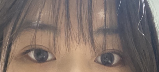 블러쉬그레이 이미지
