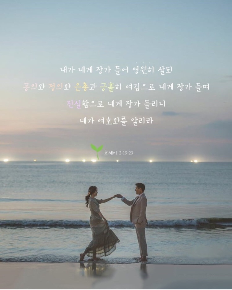 다정포도원 이미지