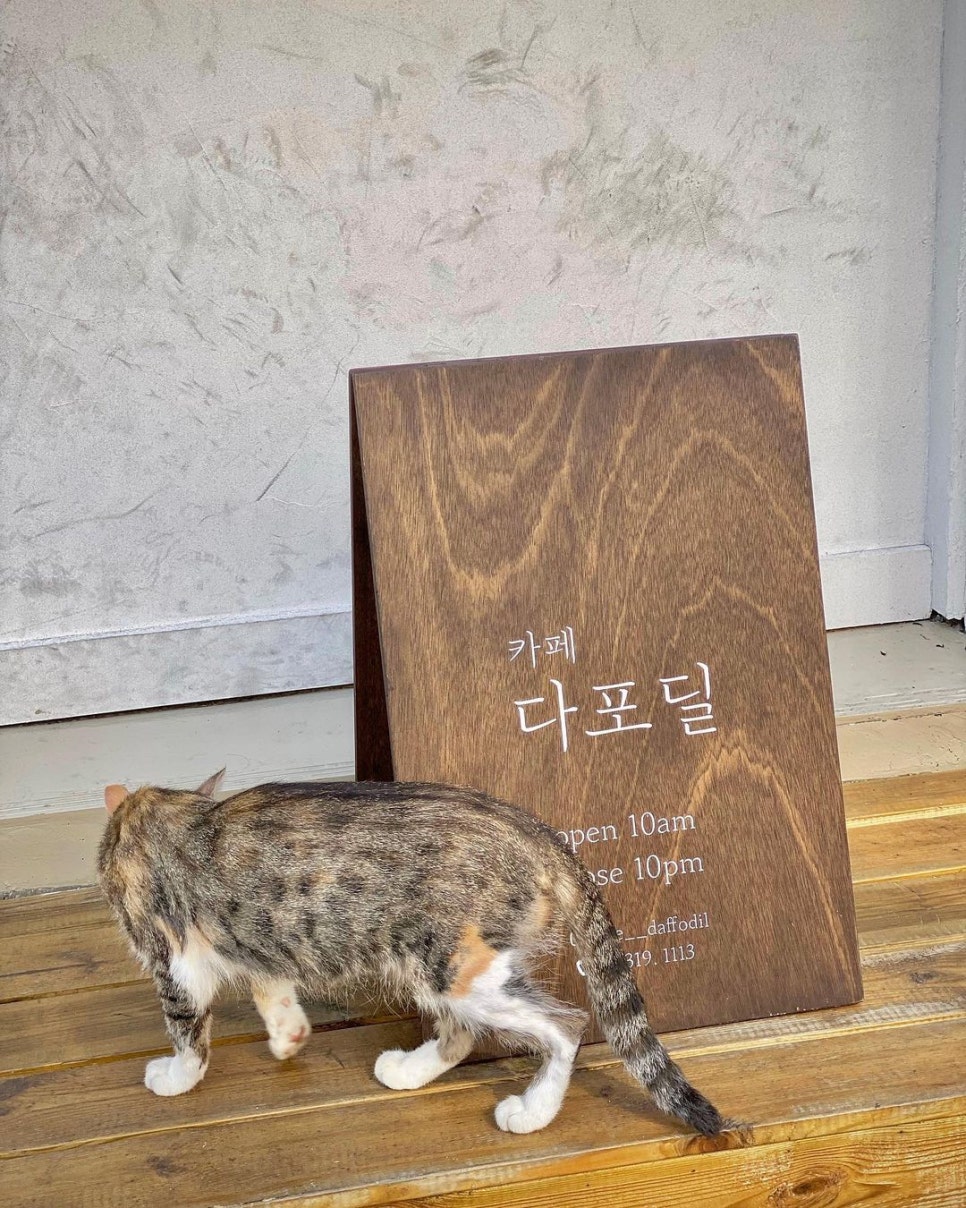 카페 뷰(Cafe View) 이미지