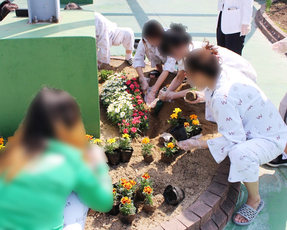 대한기술단주 이미지