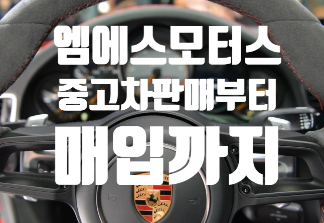 엠에스오토 이미지
