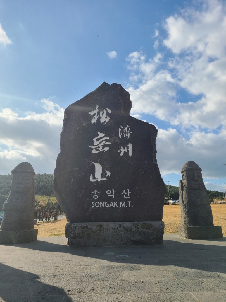 새벽한시스냅 이미지