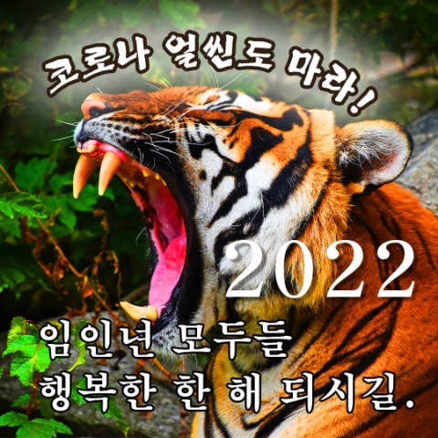 자마르실용음악학원 이미지
