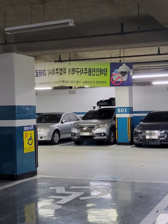율이파파 이미지