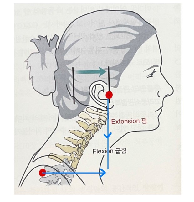 라운드어스 이미지