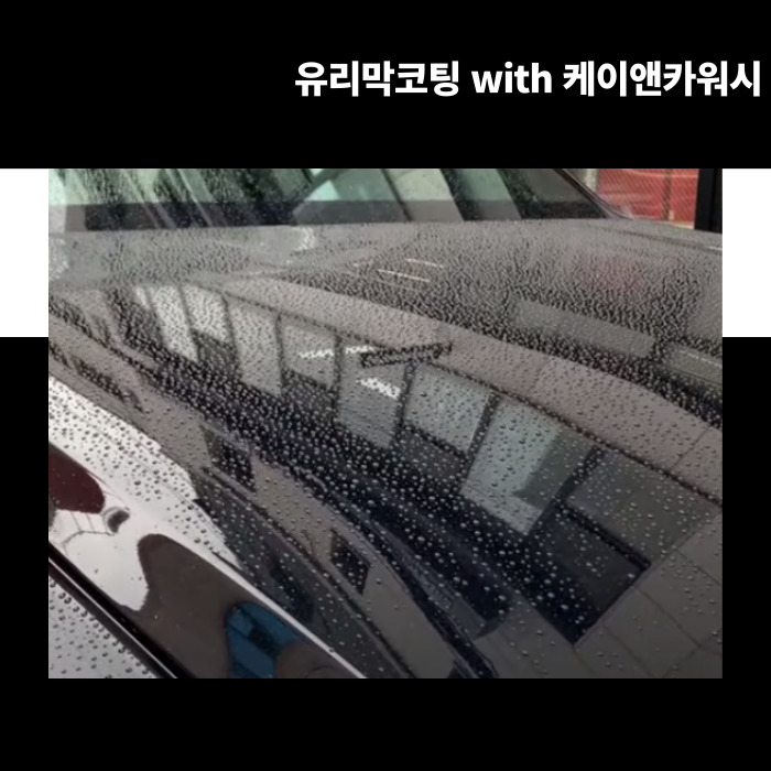 폴리앤카 이미지