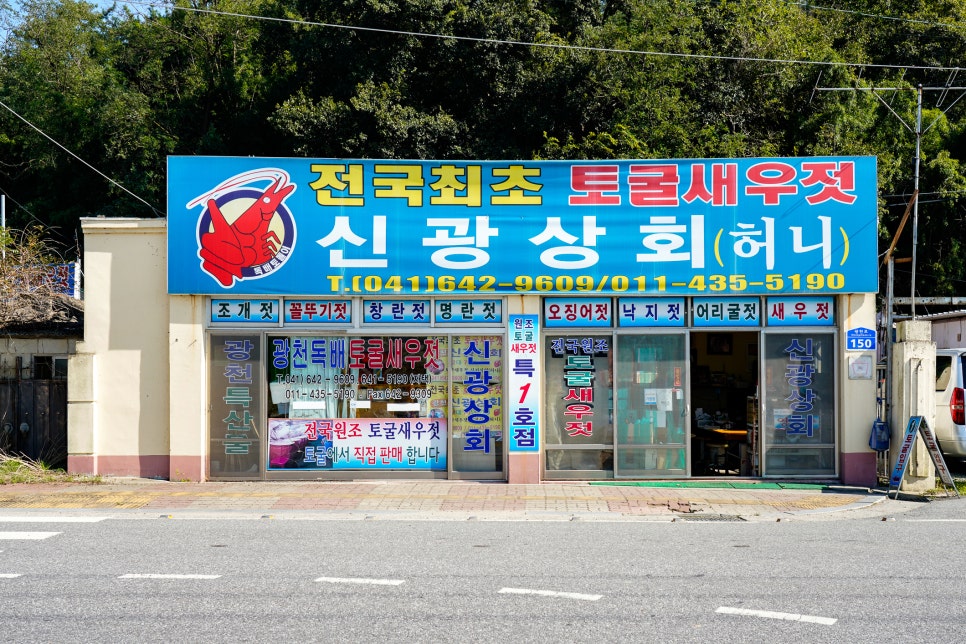 독배토굴새우젓 이미지