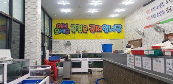 늘솜물회 이미지