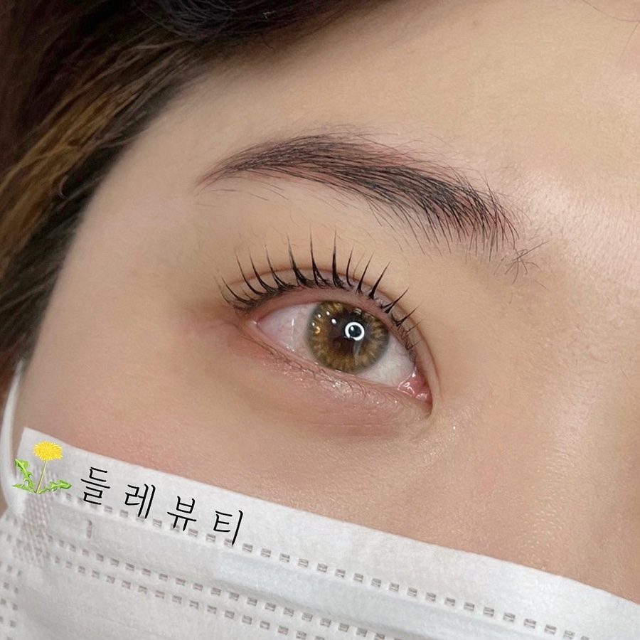 들레뷰티 이미지