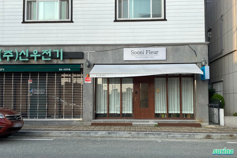 수니플레르 이미지