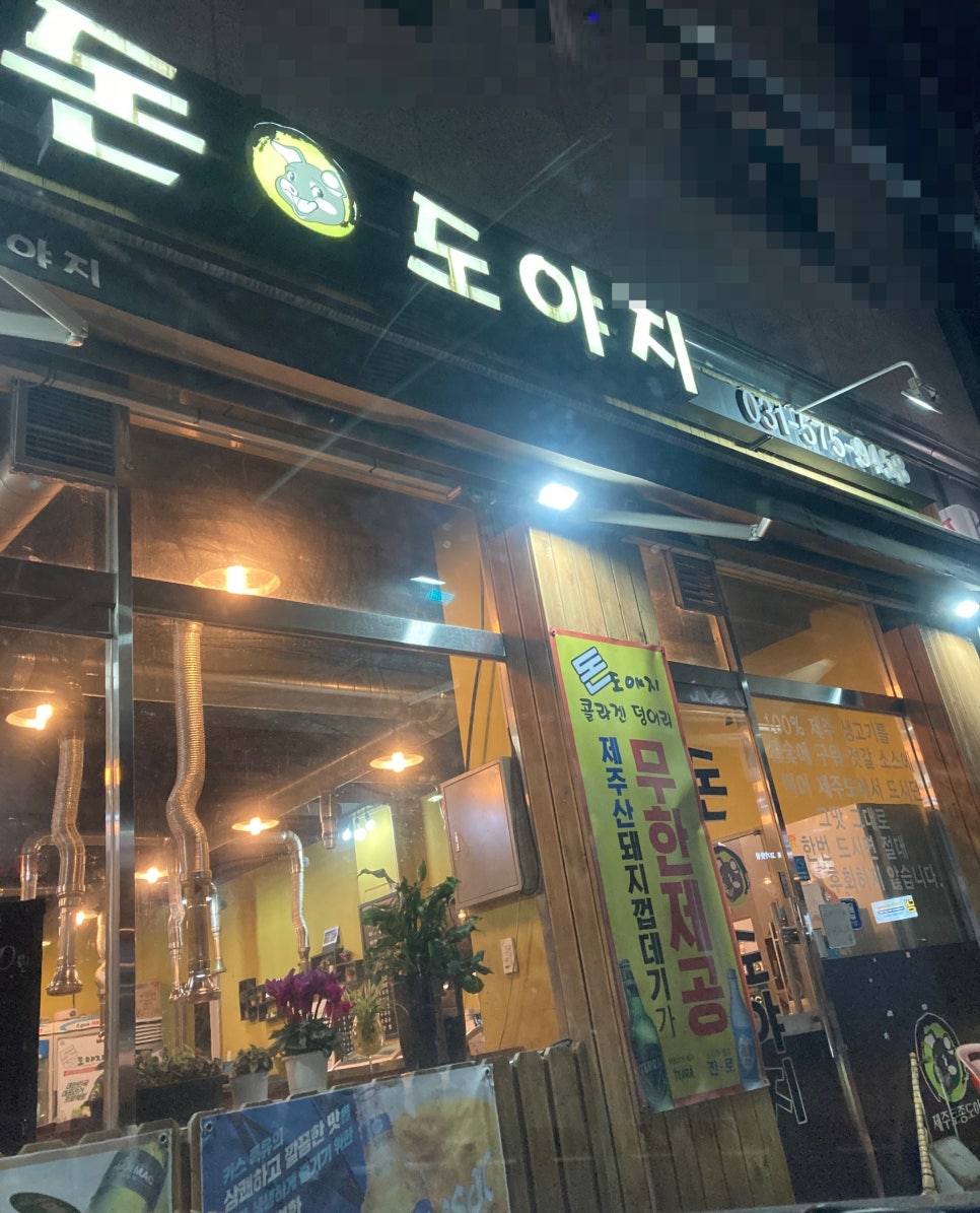 돈도야지 이미지