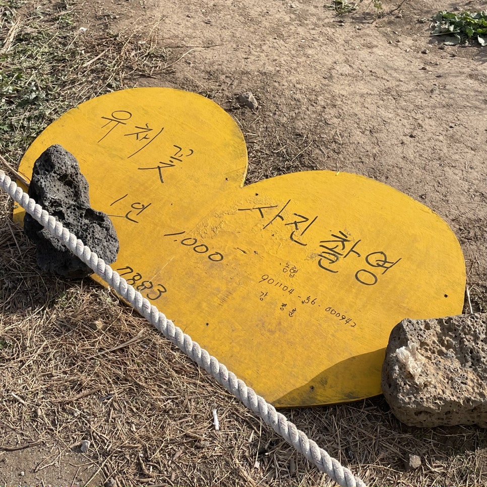 볼레낭게 이미지