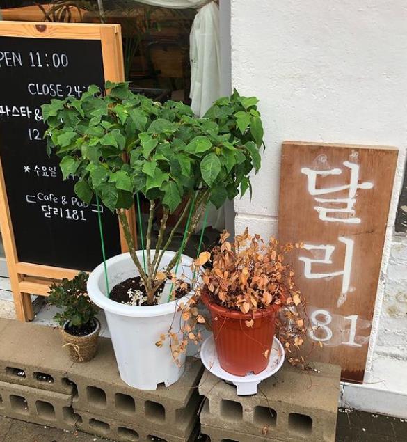 달리181 이미지