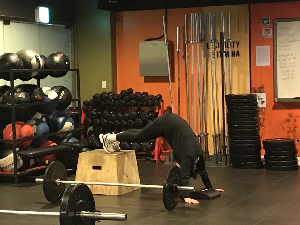에이머 이미지
