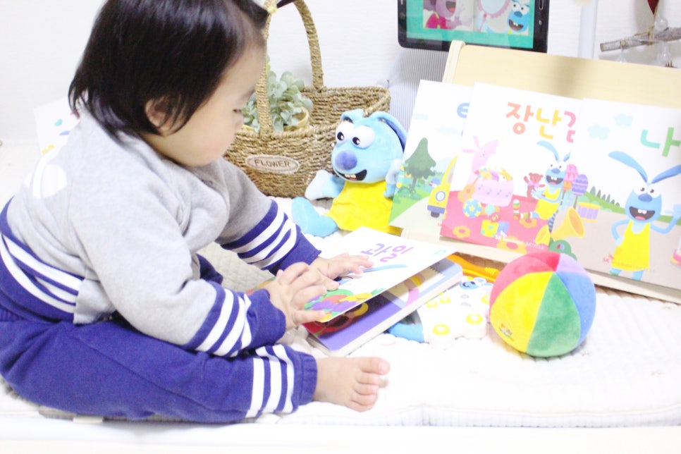 리송스 이미지
