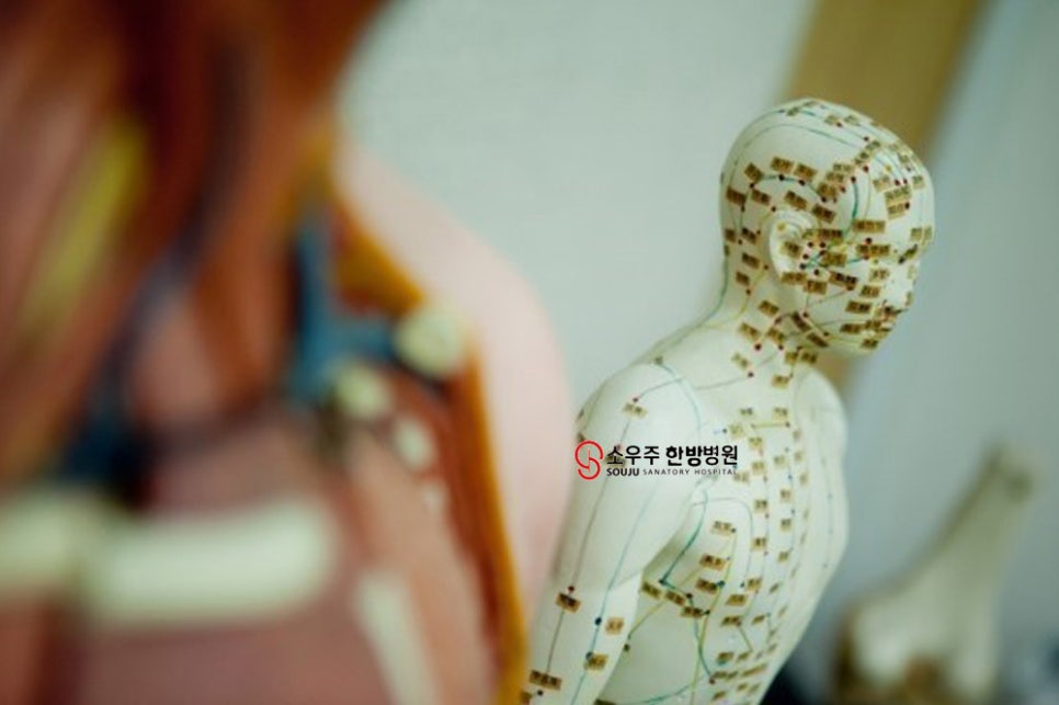 자연안에한방병원 이미지