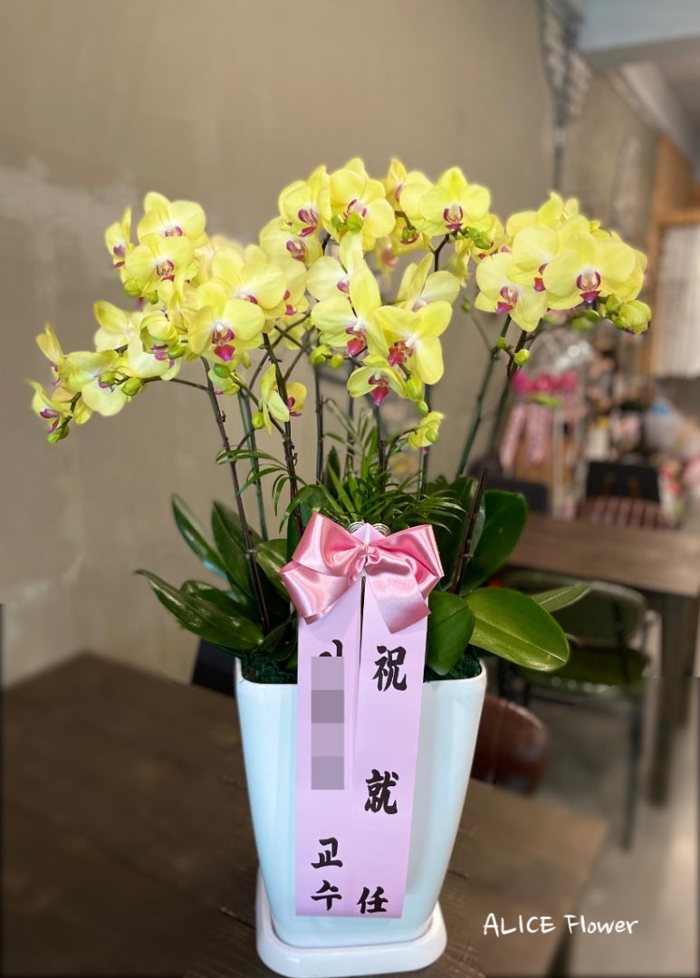 꽃난화 이미지