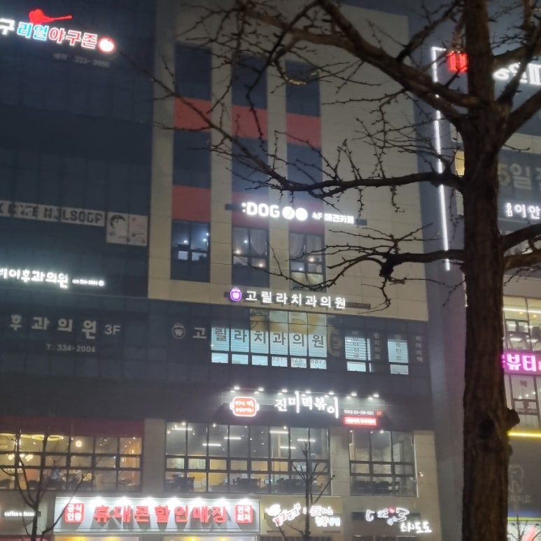 고릴라치과의원 이미지