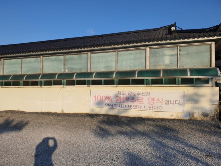 황둔수산송어장횟집 이미지