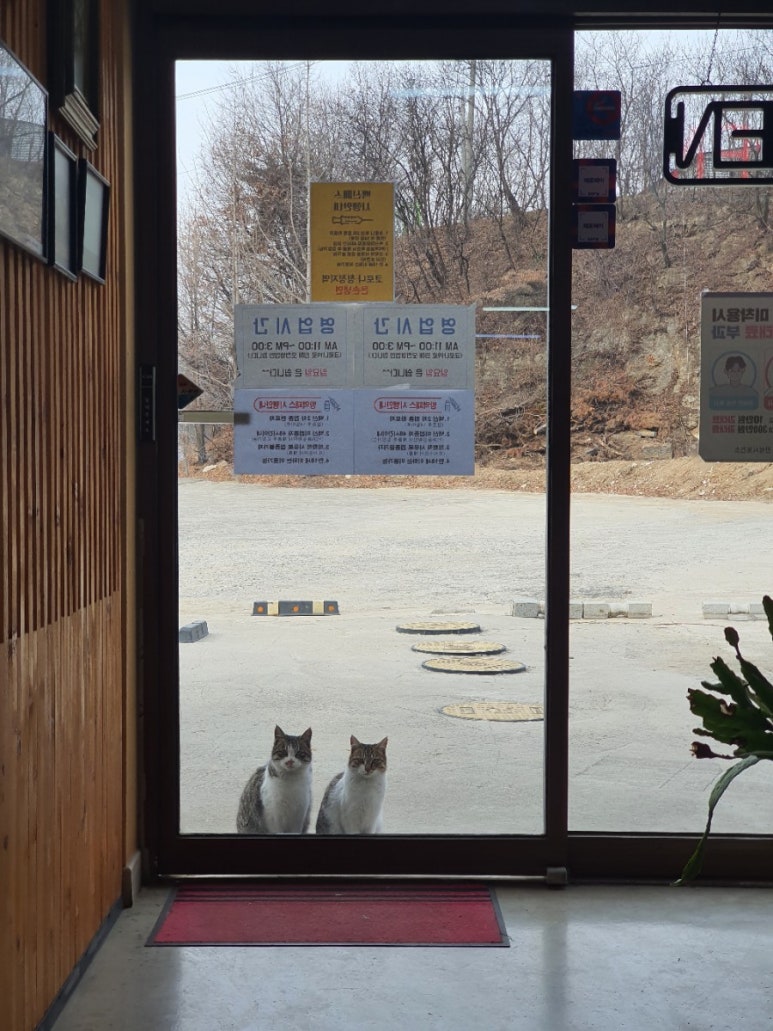 죽산뚝배기 이미지