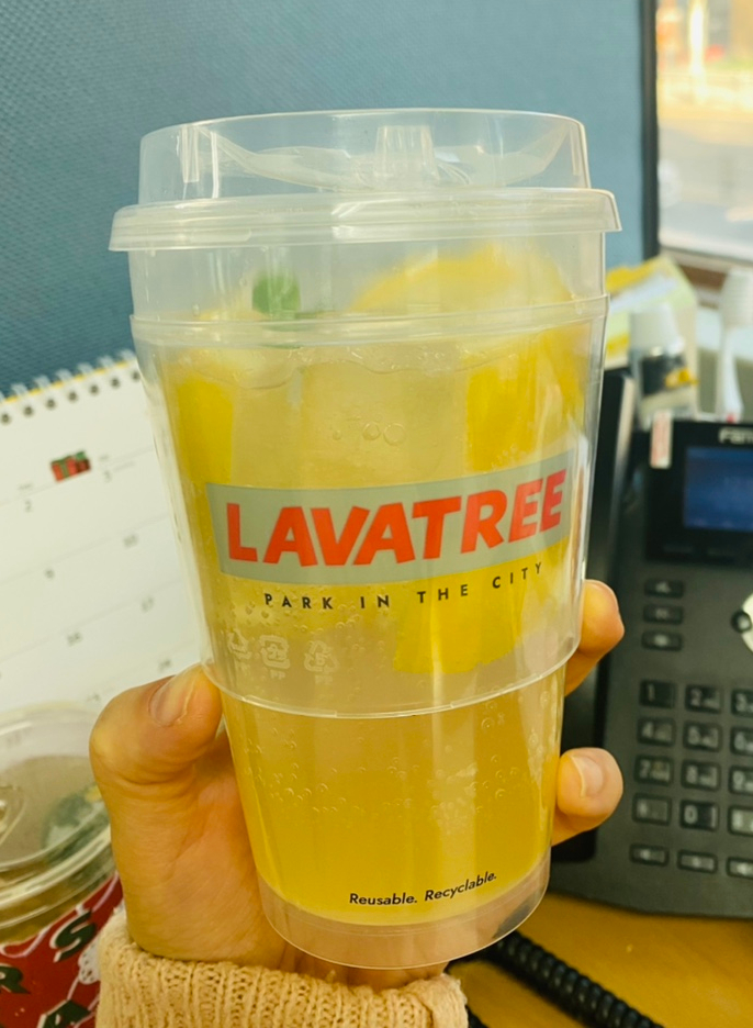 라바트리(LAVATREE) 이미지
