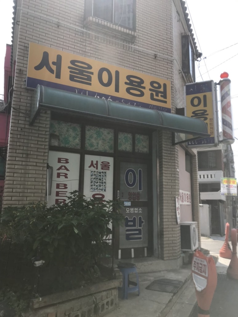 대지이용원 이미지
