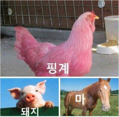 쌍용자동차정비사업소 이미지