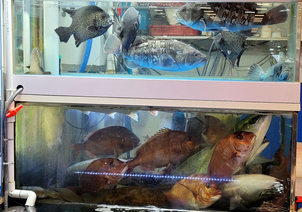 대물수산 이미지