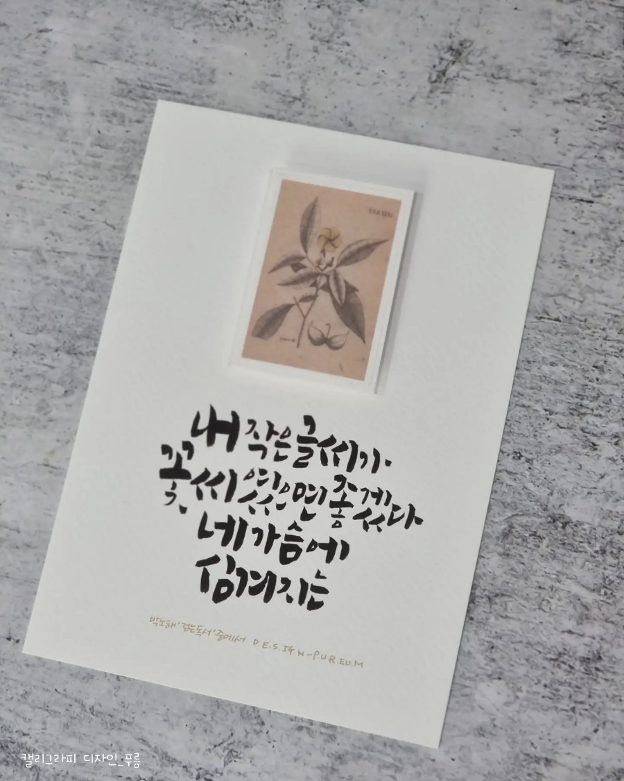 디자인 푸름 이미지