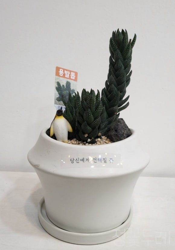당신에게전해질꽃 이미지