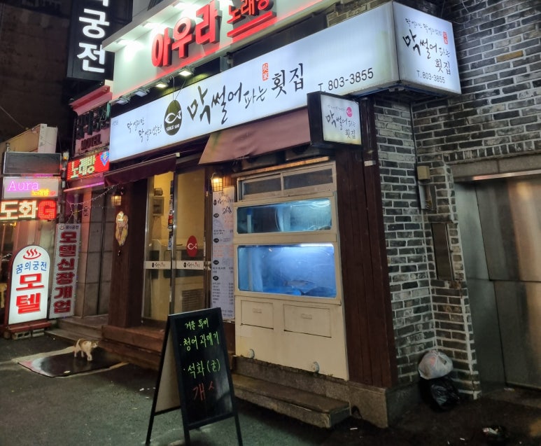 석화막썰어횟집 이미지