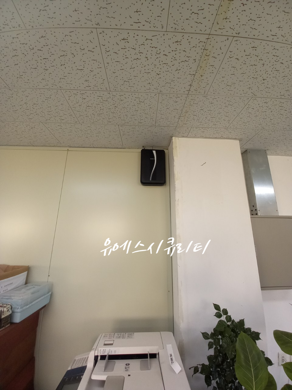 오성장미수목원 이미지