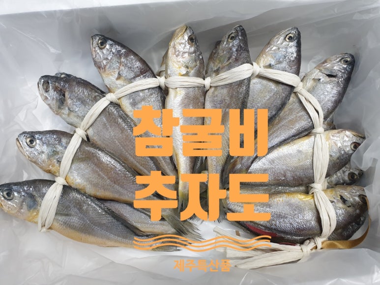 추자도수산업협동조합 이미지