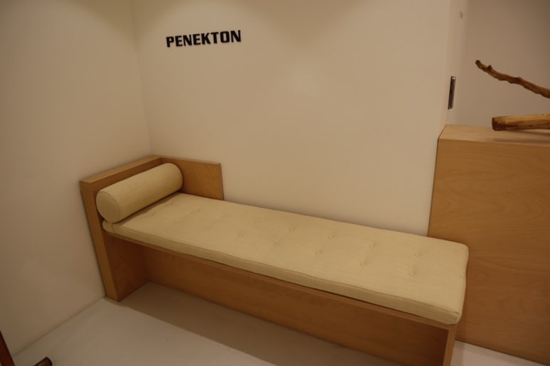 페넥톤(PENEKTON) 이미지