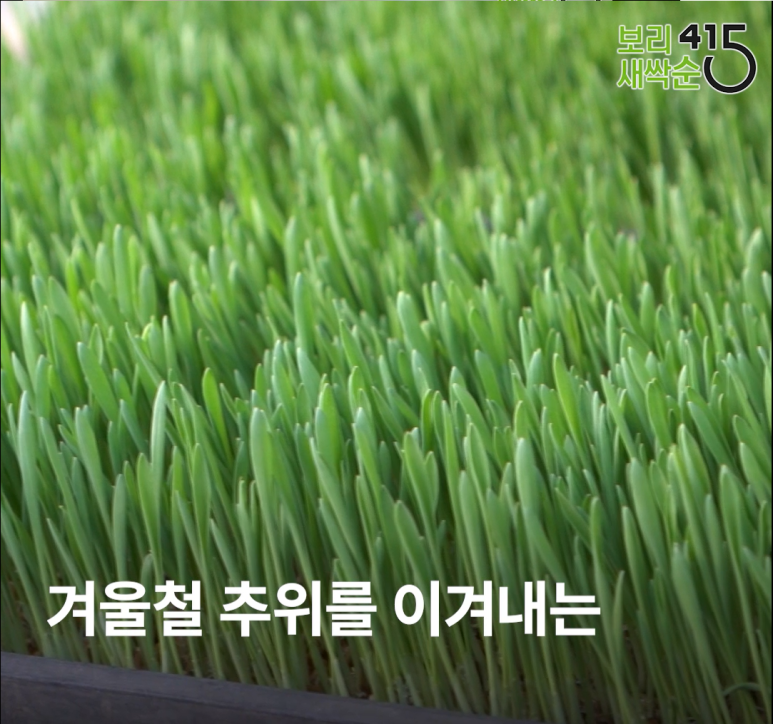 주식회사 햅건 이미지