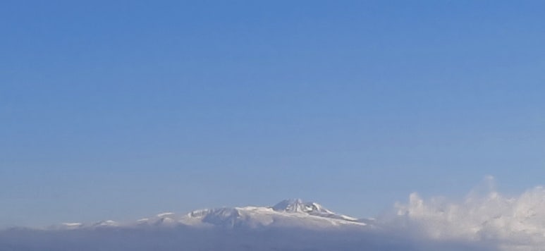 오늘제주 이미지