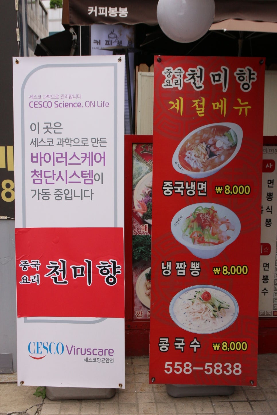 천미향 이미지