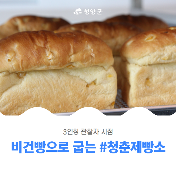 청춘제빵소 이미지