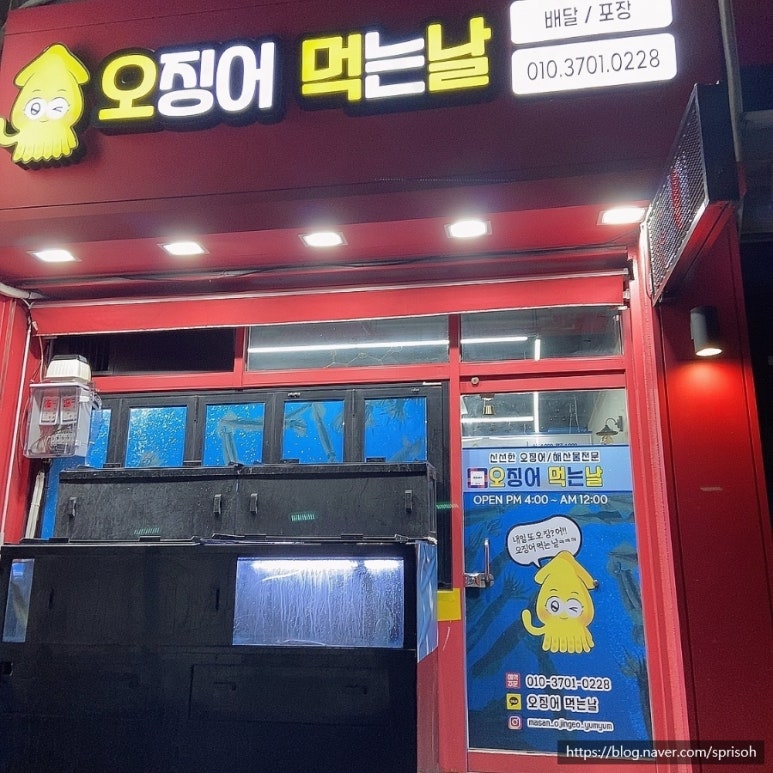 오징어먹는날 이미지