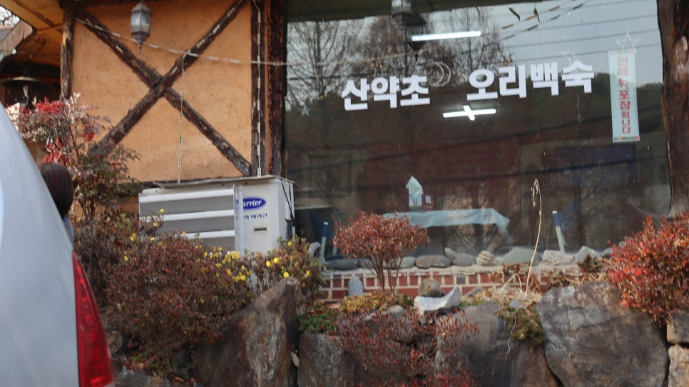 심마니약초백숙 이미지