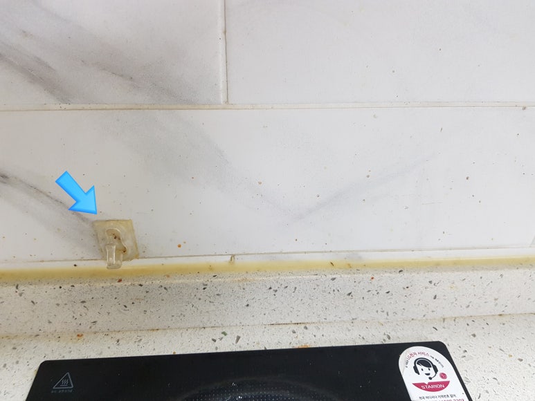 디아레나 이미지