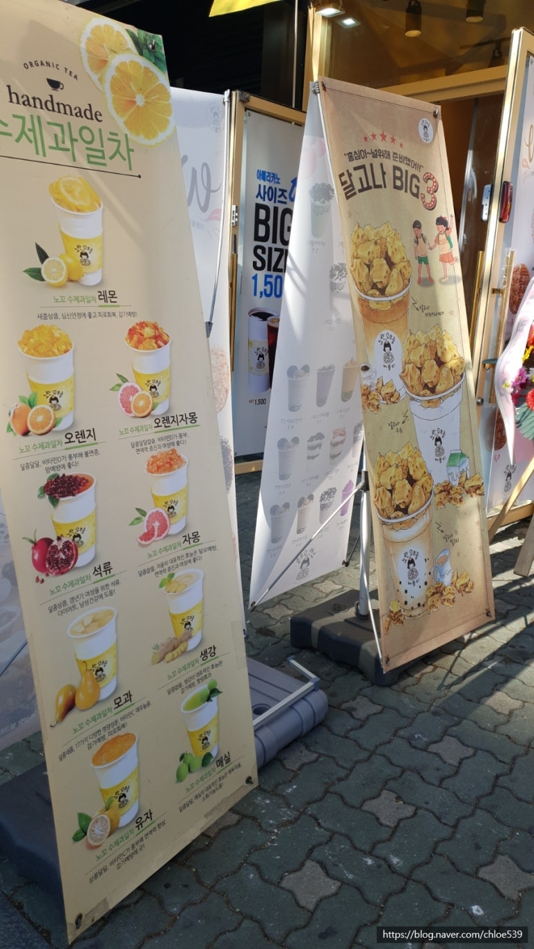 노란꼬무줄 이미지