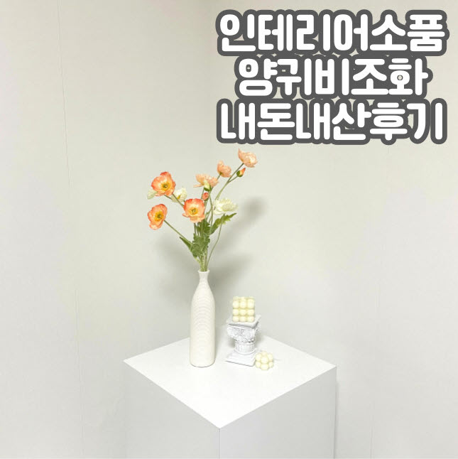 스튜디오 양귀비 이미지