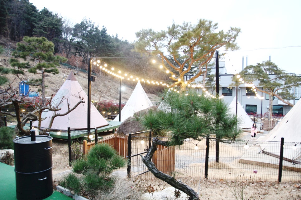 산으로간캠프 이미지