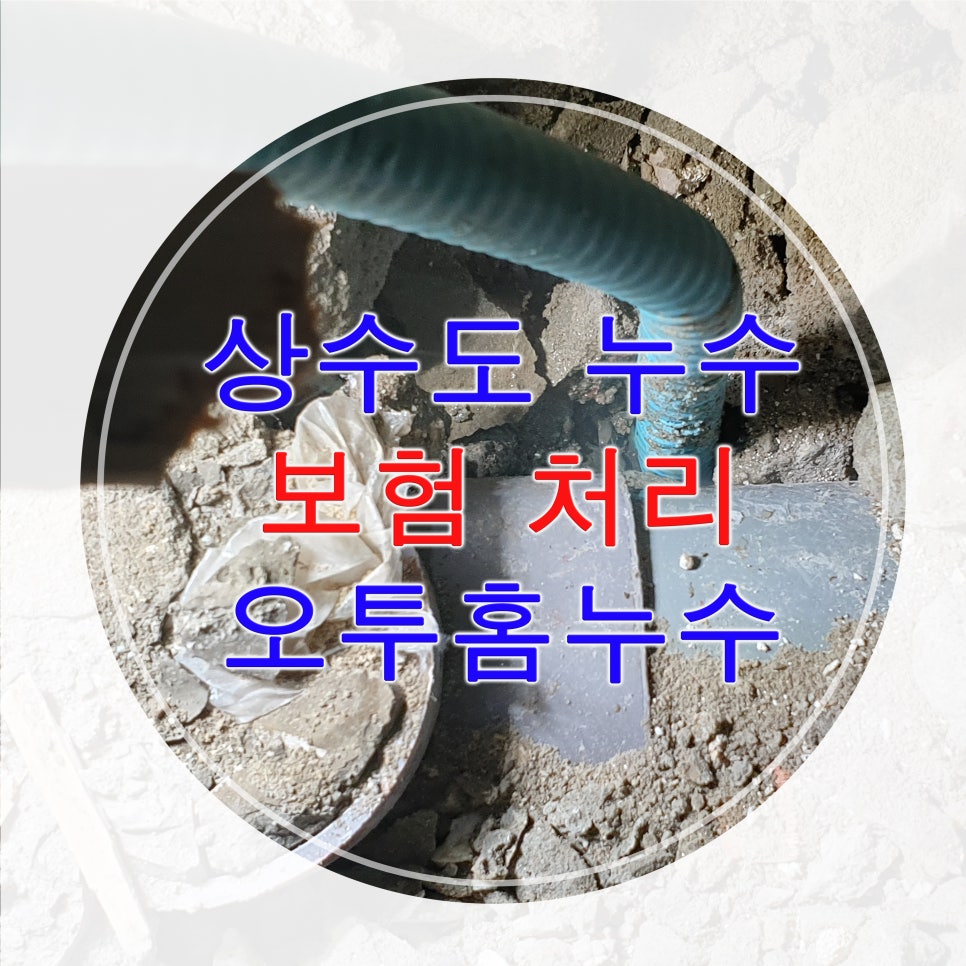 오투홈 이미지