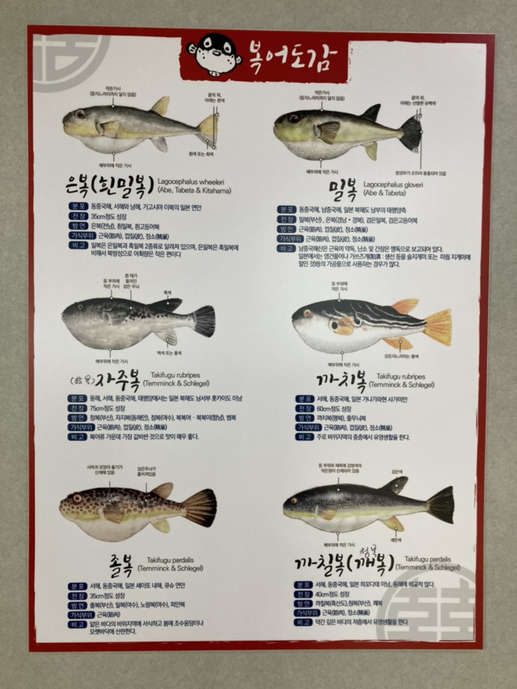 본가벌나무복집 이미지