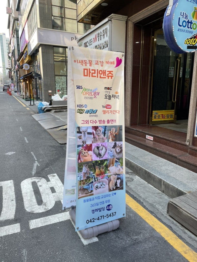 마리앤쥬 이미지