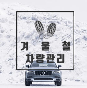 엠에스오토 이미지
