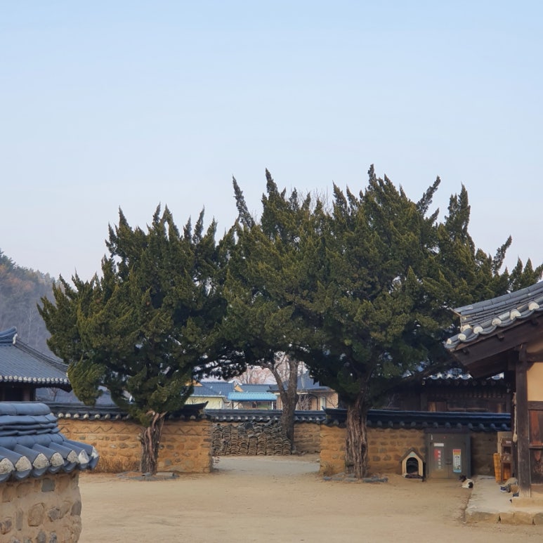 라송소 이미지