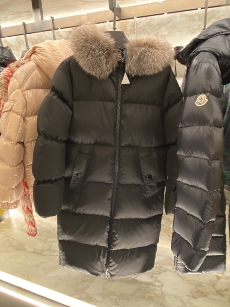 마로니에르 이미지